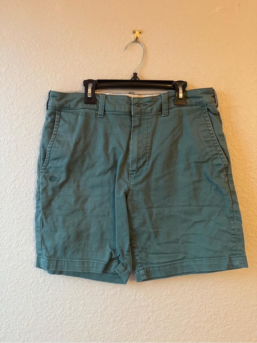 American Eagle Outfitters Teal Flat-Front Casual Shorts